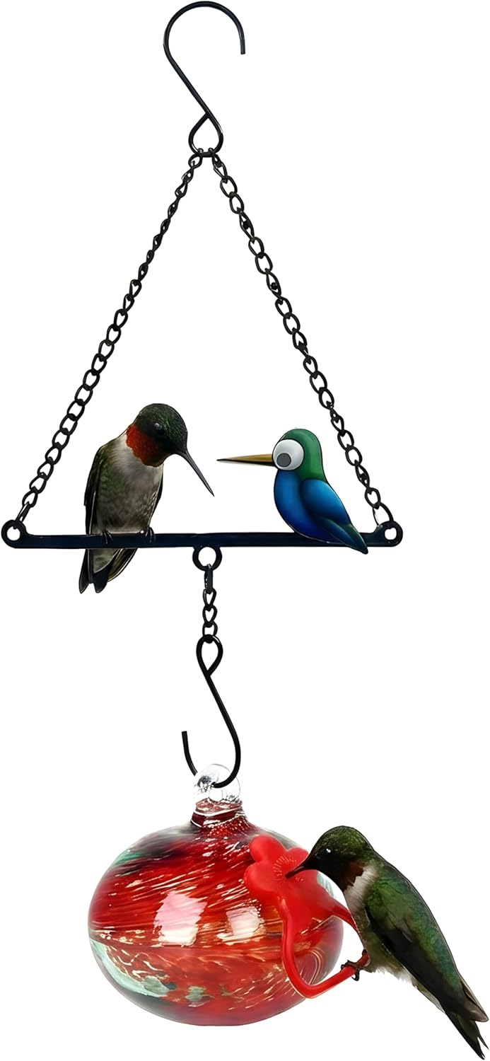 Hummingbird Swing — 1 Ball